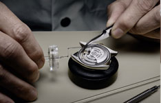 劳力士金色表盘会掉色嘛